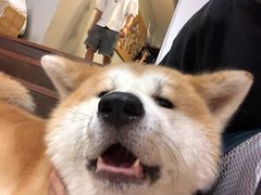 -YCHL Studios健身工作室(市二宫店)