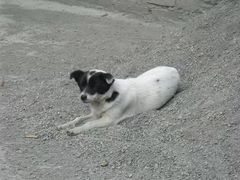 -硗碛藏寨·神木垒景区