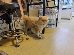 -鑫亮视光·蔡司品牌折扣店·配镜(哈工大科学园店)