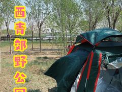 -西青郊野公园