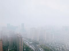 -悦厅·下午茶(杭州柏悦酒店)