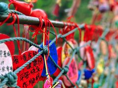 -西双版纳原始森林公园