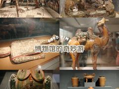 -南京博物院