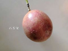 -三亚新鸿港水果一级批发市场