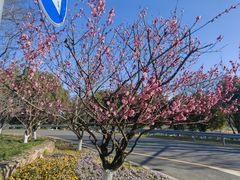 -苏州清山会议中心