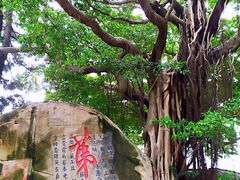 -乌山风景区