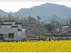 -石潭村