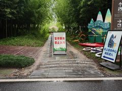 -黄海国家森林公园