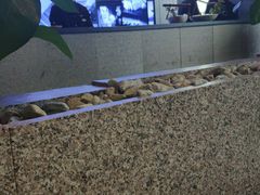 -daozao料理美术馆(寿光店)