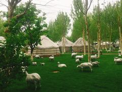 -九十九顶毡房(阜石路店)