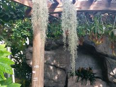 -北京植物园-展览温室