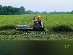 -裕和堂中医推拿艾灸(太古汇臻品店)