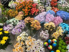-双季花艺园艺市场(浦东店)