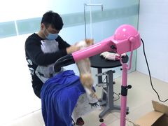 -圣宠动物医院·犬猫专科·影像中心·外科中心