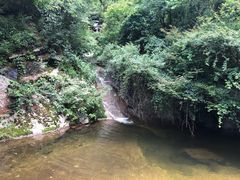 -王顺山国家森林公园