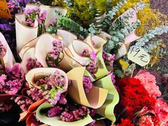 -天河体育中心