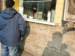 -清真·二嫂子煎饼果子(卫津路总店)