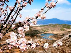 -定都峰