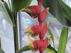 -华南国家植物园-售票处