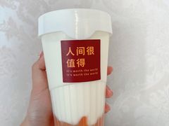 -Tim炒酸奶