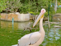 -灵玲国际马戏城