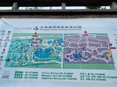 -上海海湾国家森林公园