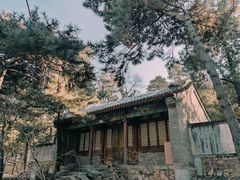 -颐和园