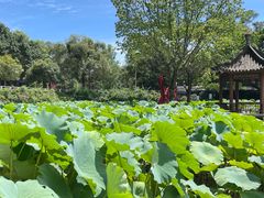 -西南交通大学(峨眉校区)