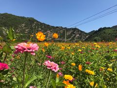-白河湾生态旅游一条川