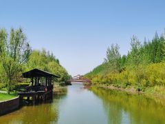 -黄海国家森林公园