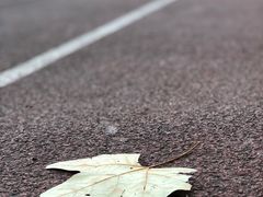 -湖北中医药大学(昙华林校区)