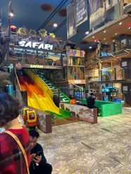 -卡通尼·Safari非洲探索乐园·生日会(金桥国际商业广场店)