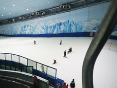 -哈尔滨热雪奇迹