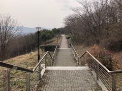 -羊山湖公园