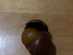 -二斗栗子(黄河道店)