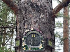 -莫尔道嘎国家森林公园