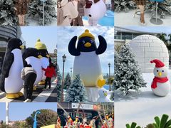 -汕头中海黄金海岸水上乐园