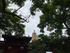 -白塔山公园