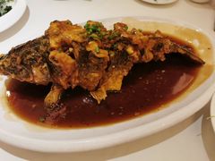 -金春禧(世茂国际广场店)