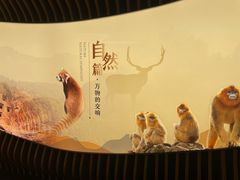 -四川大学博物馆