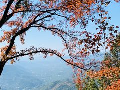 -广州市石门国家森林公园