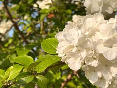 -苏州东太湖生态园