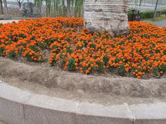 -天津东丽湖风景区