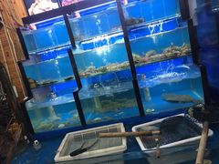 水产区-老东镇啤酒屋海鲜加工·蒸汽海鲜·海鲜烧烤(台东店)