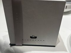 -BLACKSWAN黑天鹅(环球店)