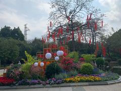 -晓港公园