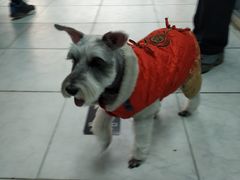 -全心全意连锁动物医院·特色中医诊疗(会城门分院)