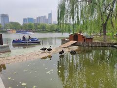-西海子公园