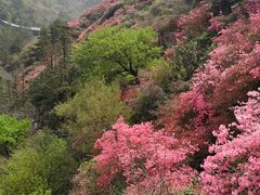 -木兰云雾山