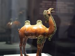-贵州省博物馆(新馆)